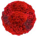 Big Bouquet of Red Roses