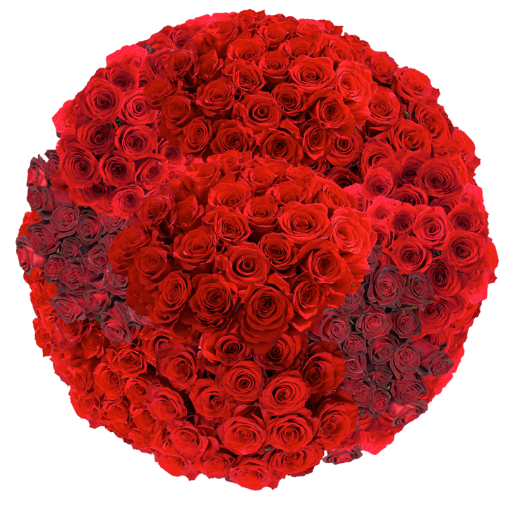 Big Bouquet of Red Roses
