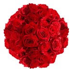 Red Rose Bouquet