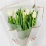 Bouquet of Tulips